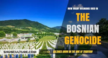 Bosnian Genocide Death Toll: Uncovering the Tragic Loss of Life