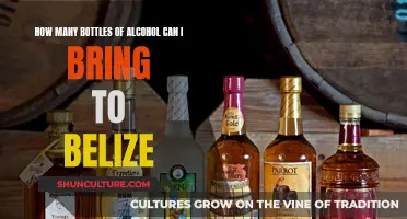 Belize's Booze Cruise: Bringing Your Own Bottles