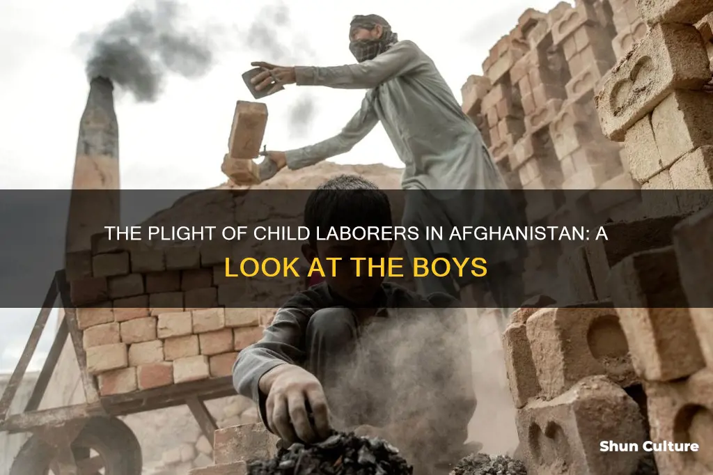 how many boys work in afghanistan