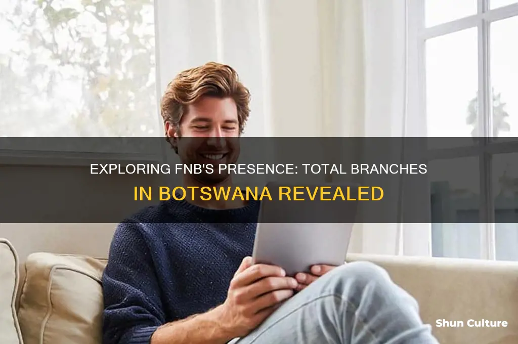 how many branches does fnb have in botswana