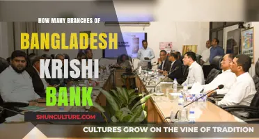 Exploring the Extensive Network of Bangladesh Krishi Bank Branches
