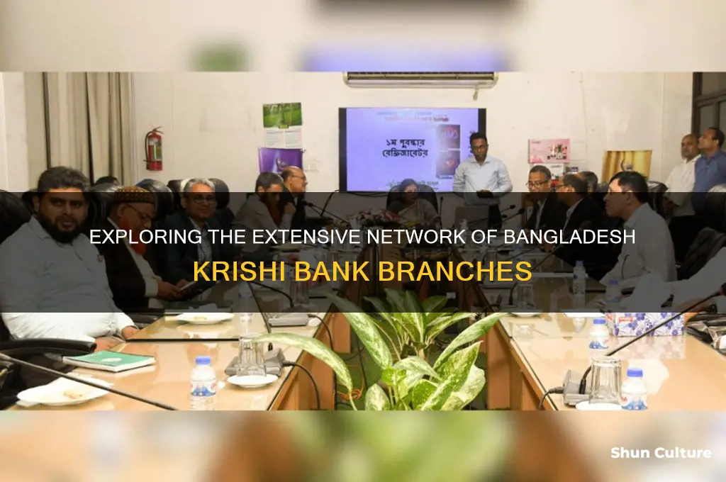 how many branches of bangladesh krishi bank