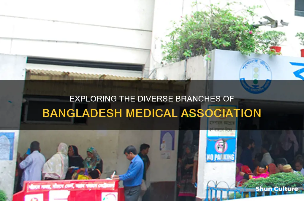 how many branches of bangladesh medical association
