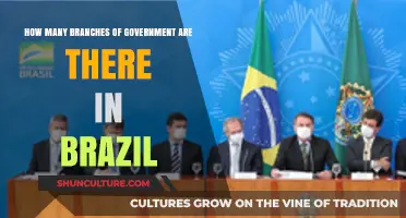 Understanding Brazil's Government Structure: How Many Branches Does It Have?