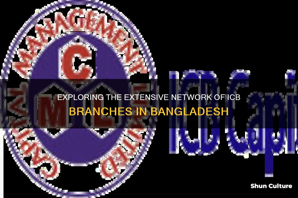 how many branches of investment corporation of bangladesh