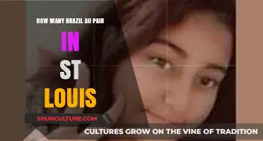 Exploring the Presence of Brazilian Au Pairs in St. Louis