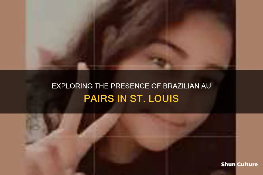 how many brazil au pair in st louis