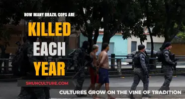 Annual Toll: Brazil's Police Fatalities and the Risks They Face