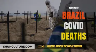 Brazil's COVID-19 Death Toll: Understanding the Tragic Statistics