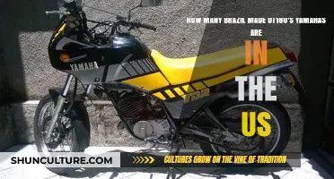 Rare Brazilian-Made Yamaha DT180s: How Many Are in the US?