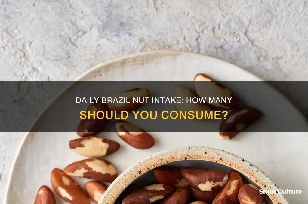 how many brazil nits a day