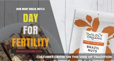 Boosting Fertility Naturally: Optimal Daily Brazil Nut Intake Explained