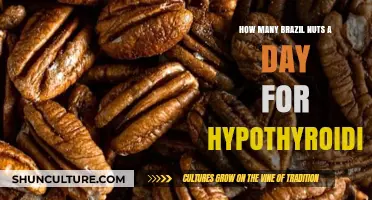 Brazil Nuts Daily: Optimal Intake for Hypothyroidism Support
