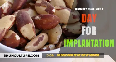 Boosting Implantation Success: Optimal Daily Brazil Nut Intake Guide