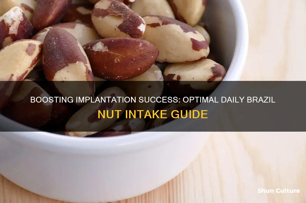 how many brazil nuts a day for implantation