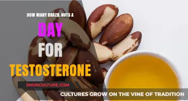 Boost Testosterone Naturally: Optimal Daily Brazil Nut Intake Explained