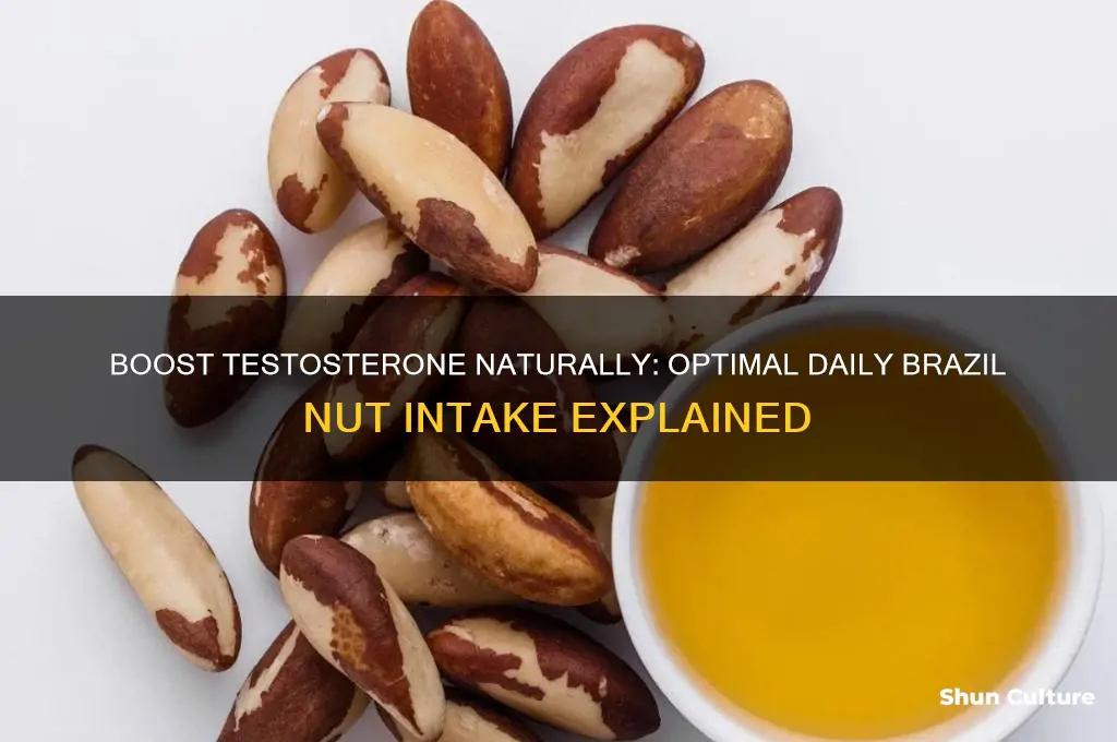 how many brazil nuts a day for testosterone