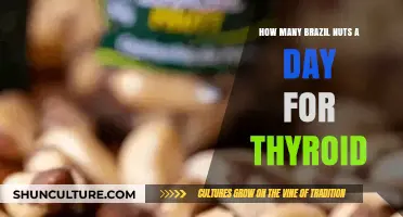 Brazil Nuts Daily: Optimal Thyroid Support and Selenium Intake Guide
