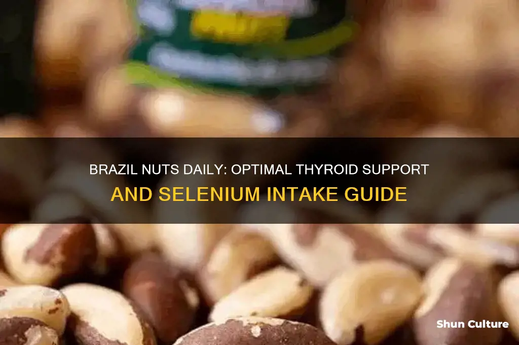 how many brazil nuts a day for thyroid