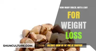 Brazil Nuts Daily: Optimal Intake for Weight Loss Success