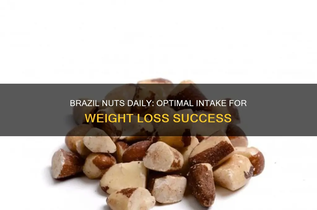 how many brazil nuts a day for weight loss