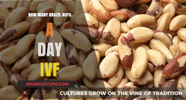 Brazil Nuts and IVF: Optimal Daily Intake for Fertility Support