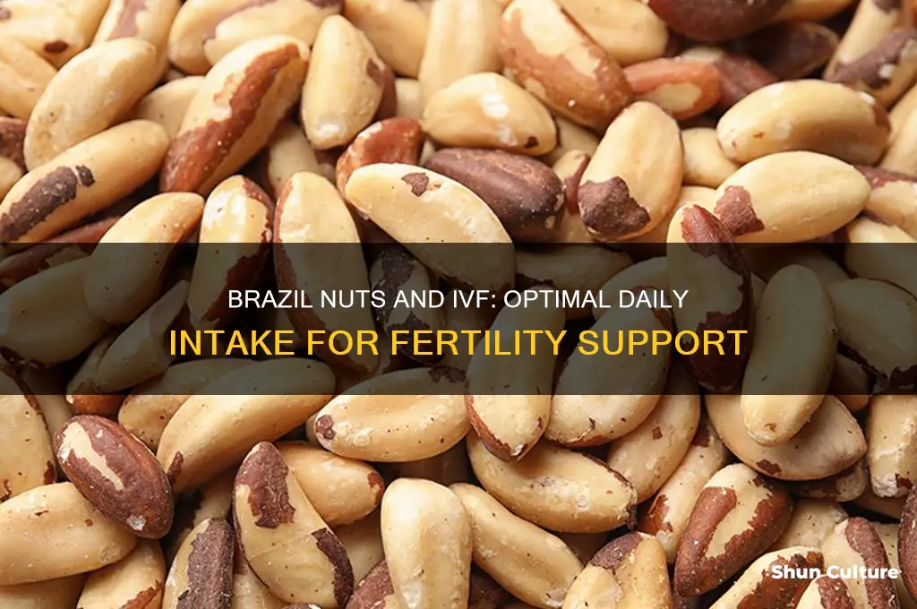 how many brazil nuts a day ivf
