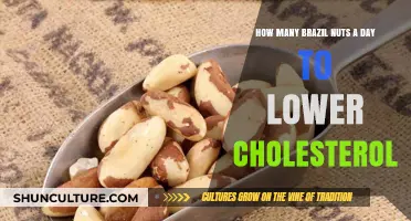 Brazil Nuts Daily: Optimal Amount to Lower Cholesterol Naturally