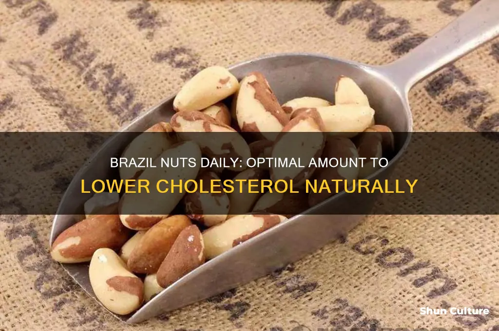 how many brazil nuts a day to lower cholesterol