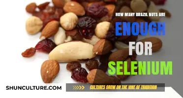 Brazil Nuts and Selenium: Finding Your Optimal Daily Intake