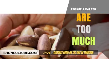 Brazil Nuts: Balancing Benefits and Risks of Daily Consumption