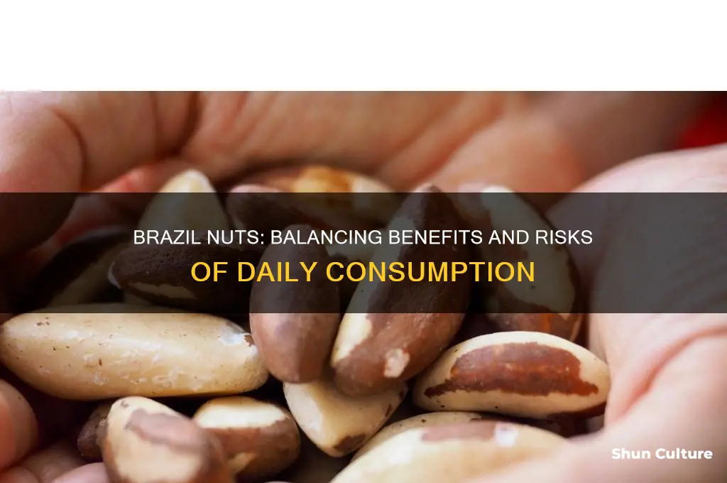 how many brazil nuts are too much