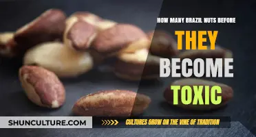 Brazil Nuts: Safe Serving Size to Avoid Selenium Toxicity