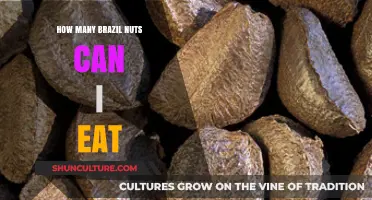 Safe Brazil Nut Consumption: How Many Can You Eat Daily?