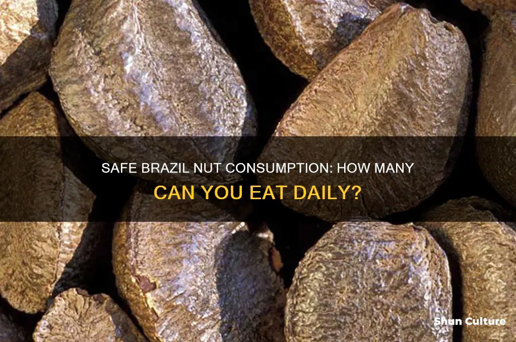 how many brazil nuts can I eat
