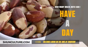 Daily Brazil Nut Intake: Safe Amounts and Health Benefits Explained