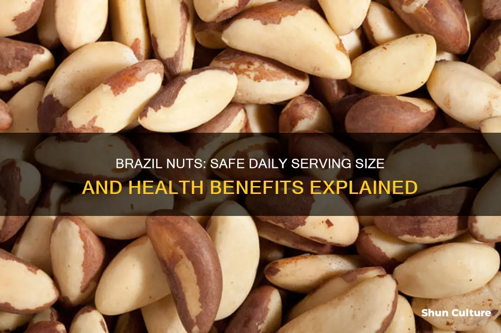 how many brazil nuts can I have