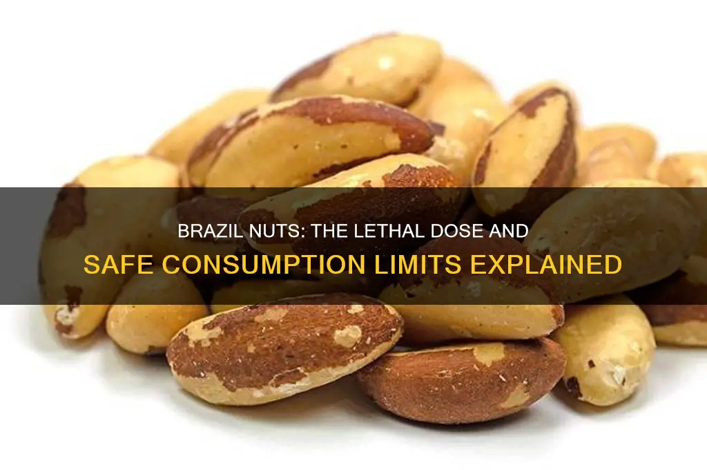 how many brazil nuts can kill you