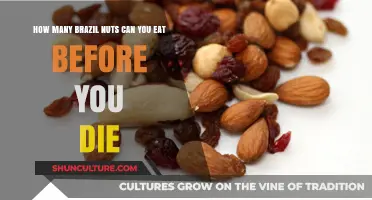 Brazil Nuts: Safe Daily Intake to Avoid Selenium Overdose Risks