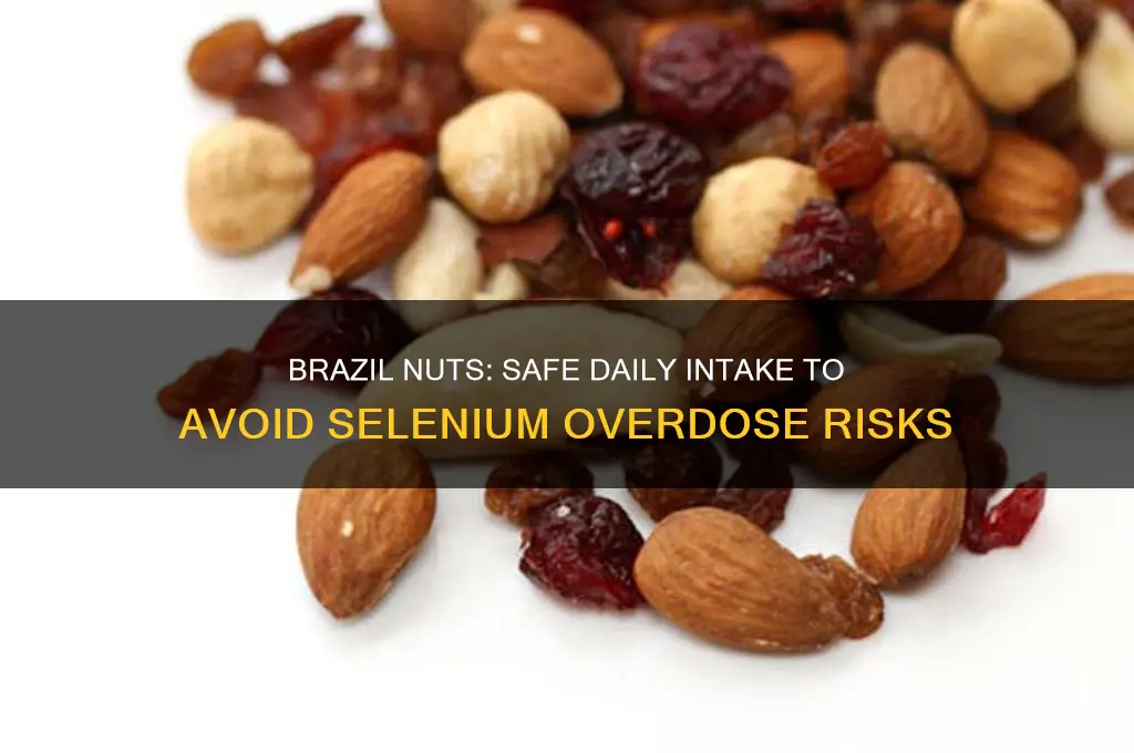 how many brazil nuts can you eat before you die