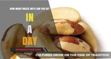 Safe Daily Brazil Nut Intake: How Many Can You Eat?