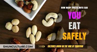 Safe Brazil Nut Consumption: How Many Can You Eat Daily?