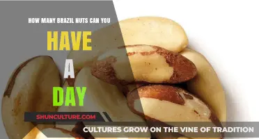 Brazil Nuts Daily Intake: Safe Amounts for Optimal Health Benefits