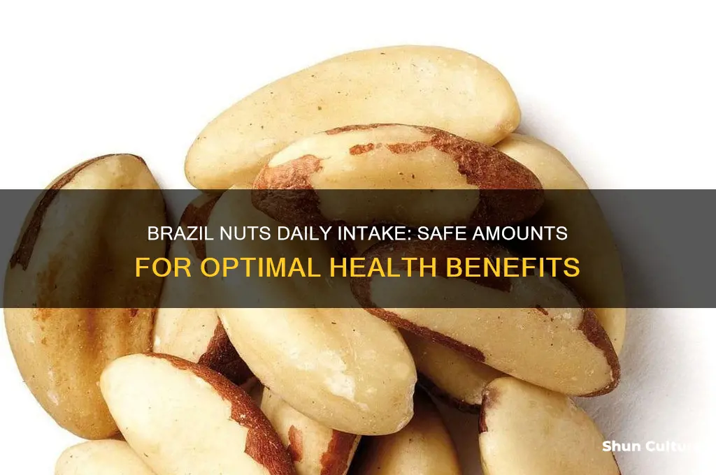 how many brazil nuts can you have a day