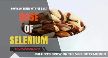 Brazil Nuts: Your Daily Selenium Dose Simplified and Explained