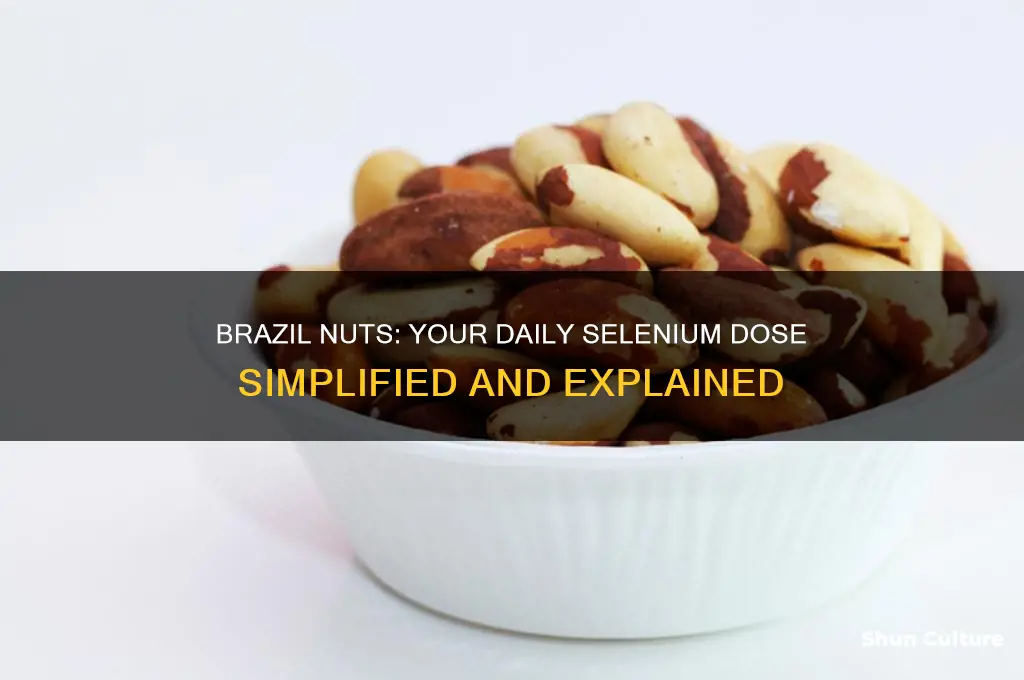 how many brazil nuts for daily dose of selenium