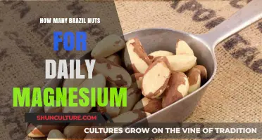 Brazil Nuts Daily Magnesium: Optimal Serving for Essential Nutrient Intake