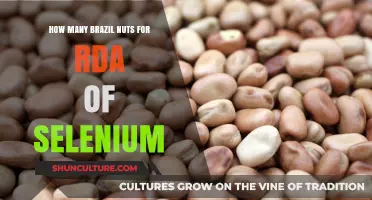 Brazil Nuts: The Selenium RDA in a Handful Explained