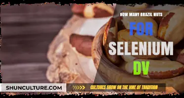 Brazil Nuts and Selenium: Daily Value in a Handful