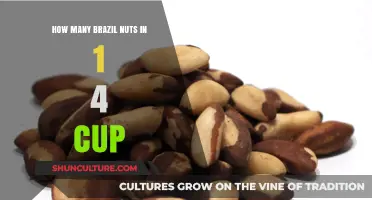 Measuring Brazil Nuts: How Many Fit in a 1/4 Cup?